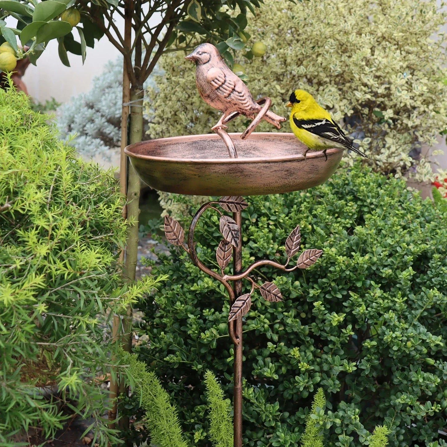 Gartenvogeltränke mit Deko-Schale und stabilem Spieß | Voglia